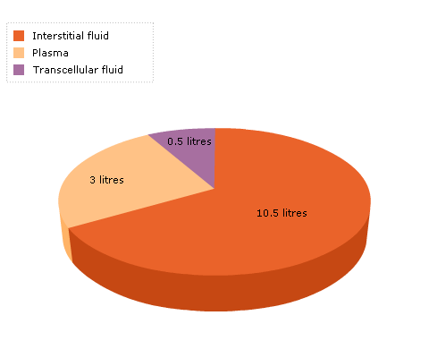 body composition pie chart