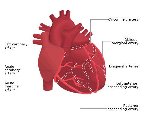 Coronary Steal